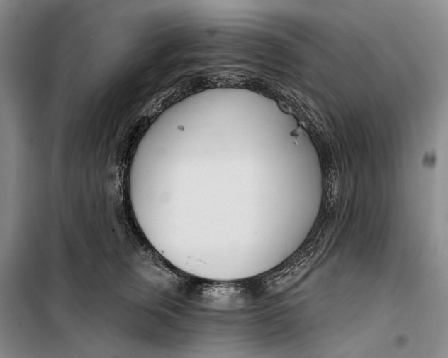 X0000099440759200805301451