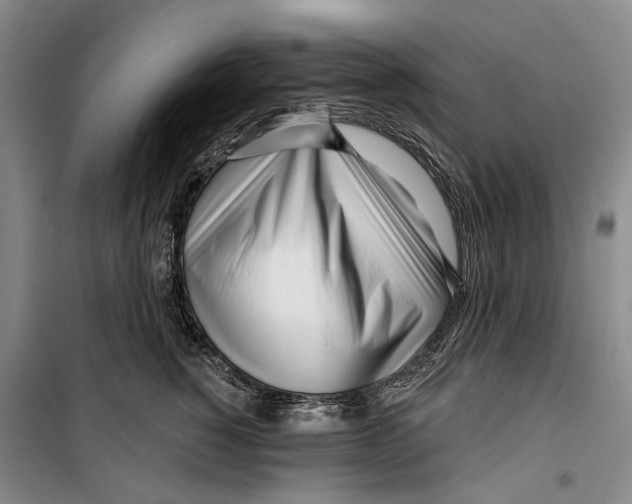 X0000099440760200805301451