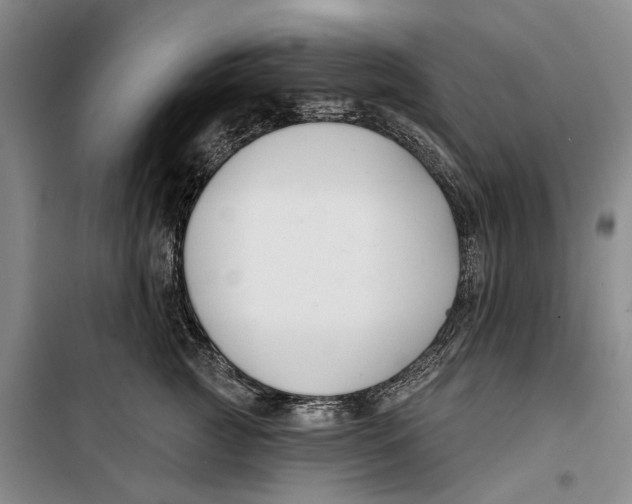 X0000099440761200805301451