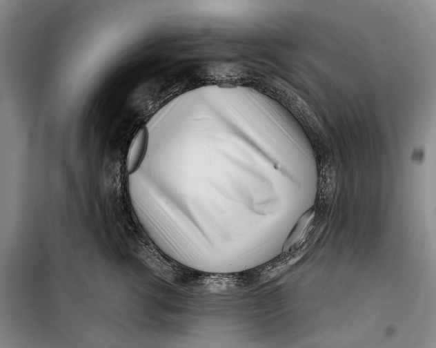 X0000099440762200805301451