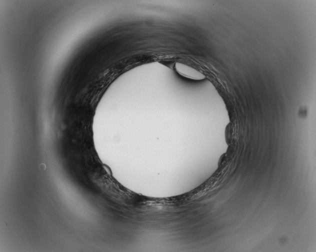 X0000099440763200805301451