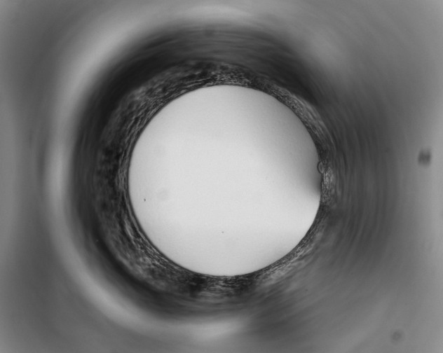 X0000099440765200805301451