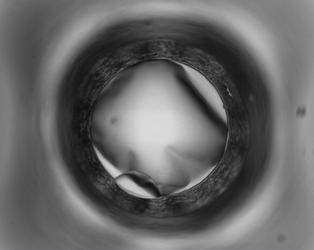 X0000099440766200805301451