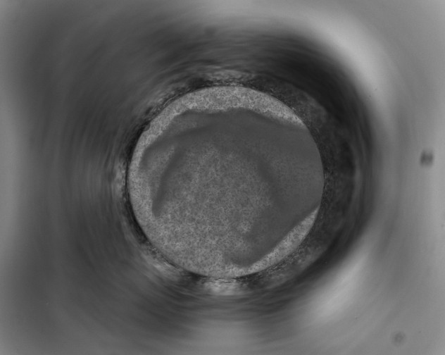 X0000099440767200805301451