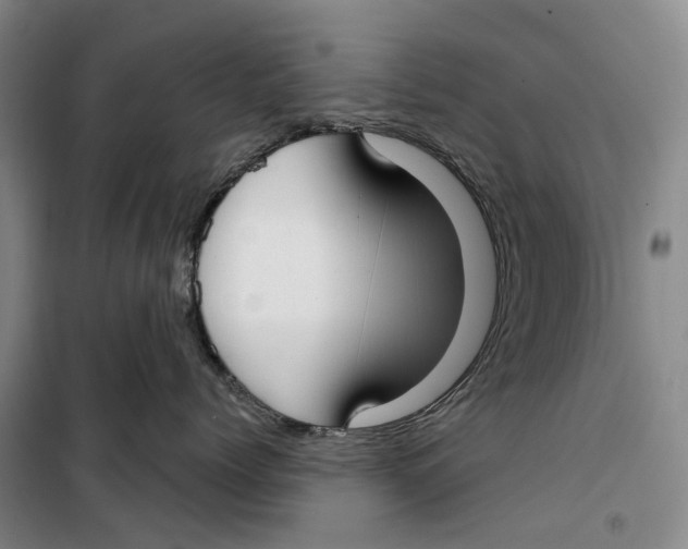 X0000099440768200805301451