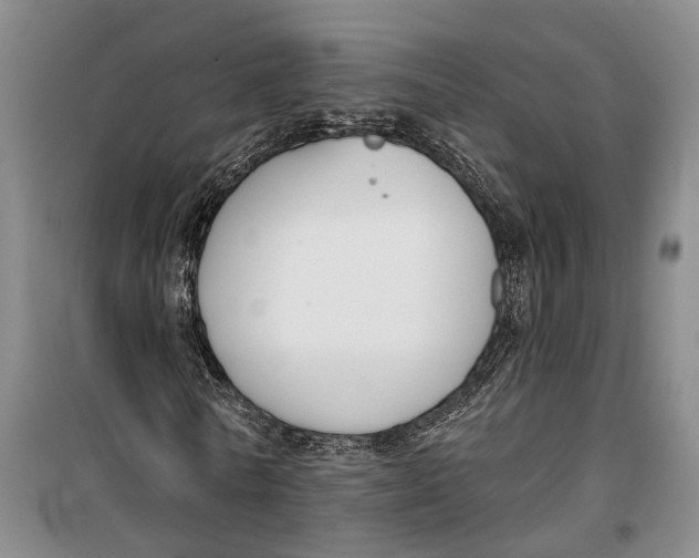 X0000099440770200805301450