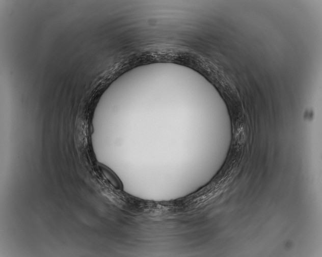 X0000099440772200805301450