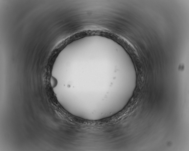 X0000099440775200805301450