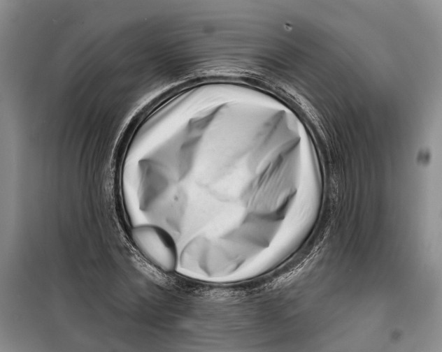 X0000099440779200805301450