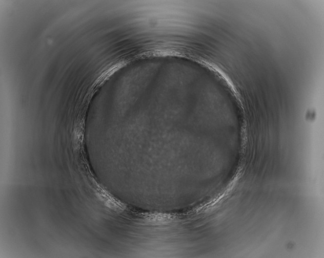 X0000099440785200805301450