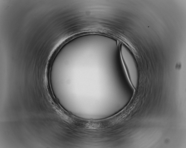 X0000099440788200805301450