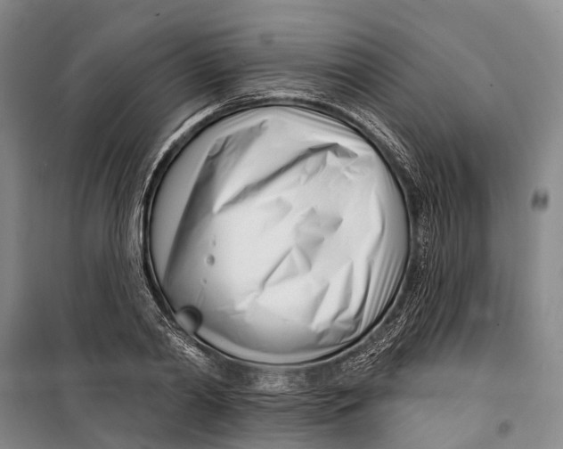 X0000099440790200805301450