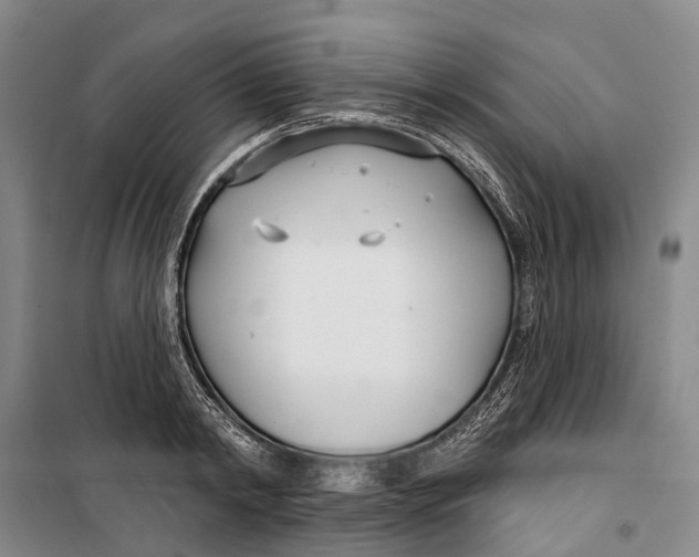 X0000099440798200805301450