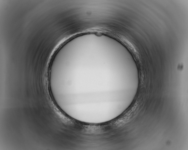 X0000099440800200805301450