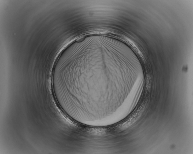 X0000099440802200805301450