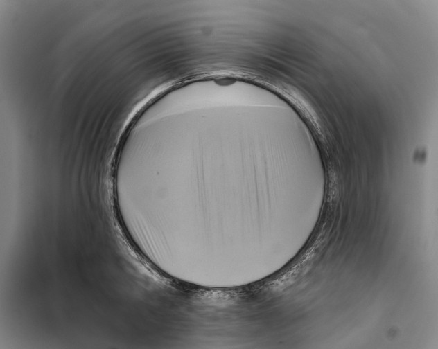 X0000099440806200805301450