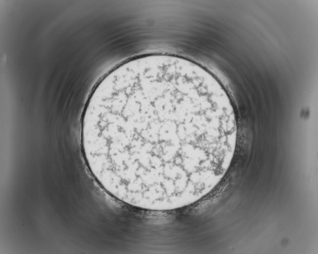 X0000099440807200805301449
