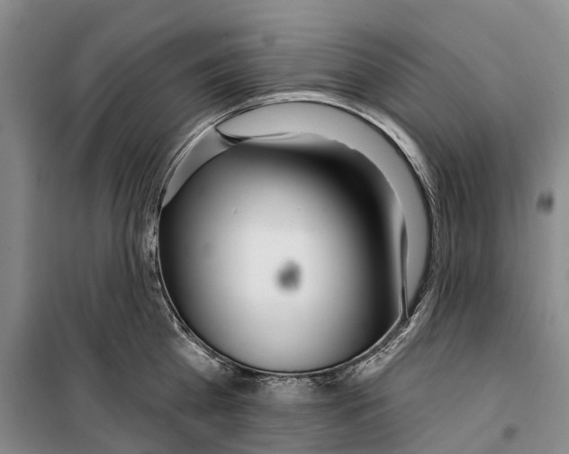 X0000099440809200805301449
