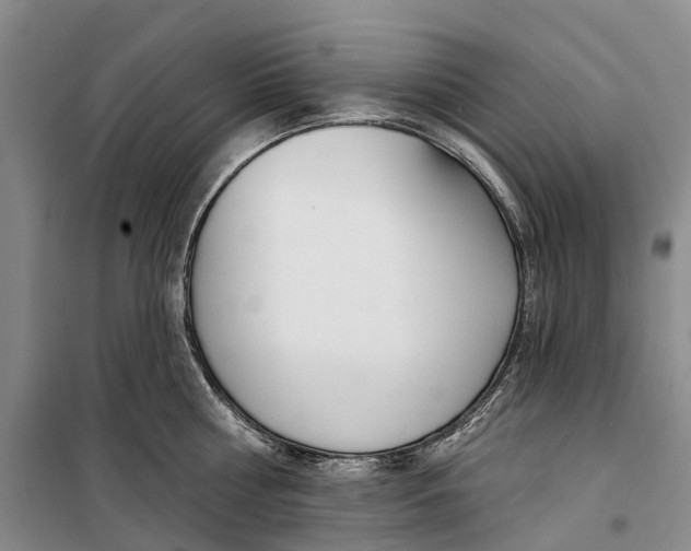 X0000099440810200805301449