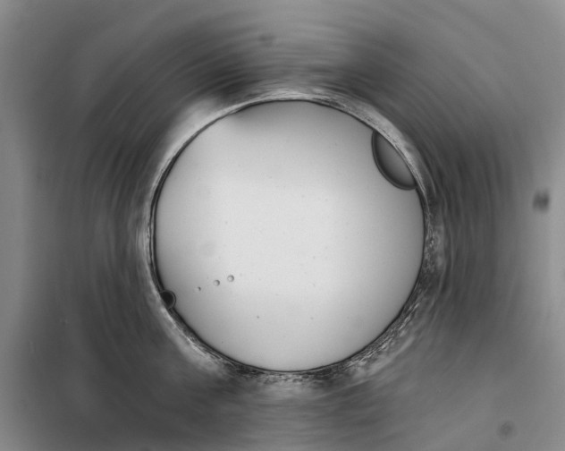 X0000099440811200805301449