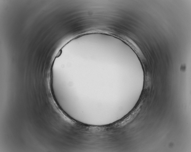 X0000099440812200805301449