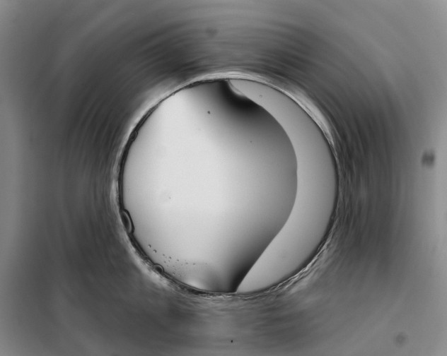 X0000099440813200805301449