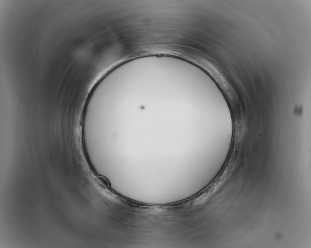 X0000099440814200805301449
