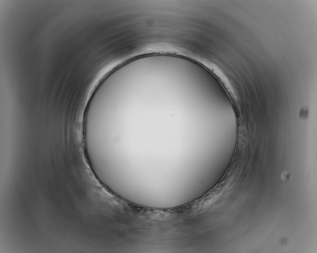 X0000099440815200805301449