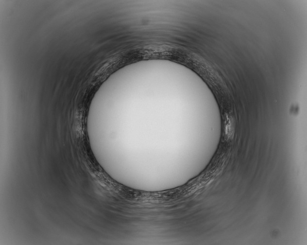 X0000099440819200805301449