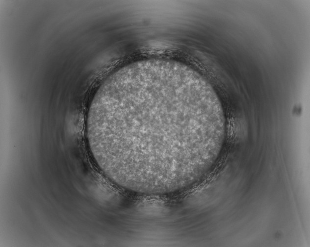 X0000099440820200805301449