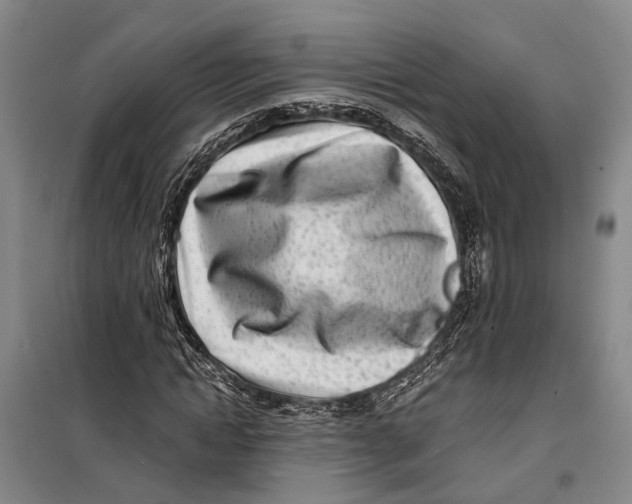 X0000099440822200805301449