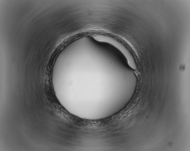 X0000099440823200805301449