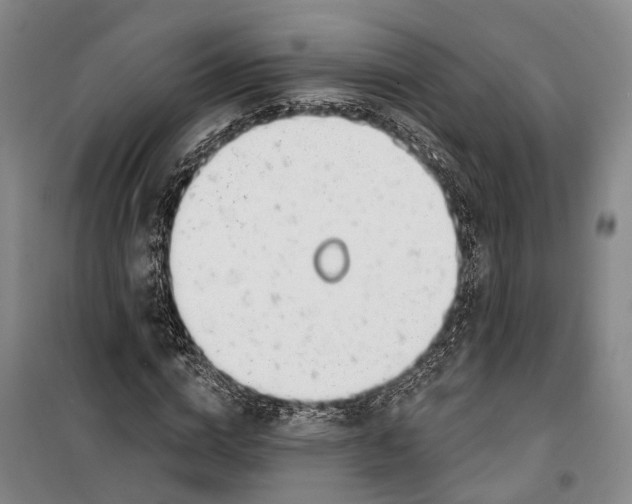 X0000099440824200805301449