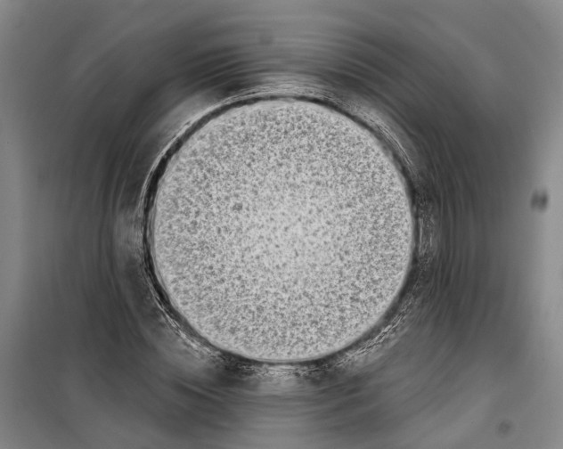 X0000099440828200805301449