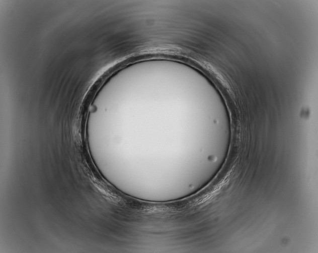 X0000099440830200805301449