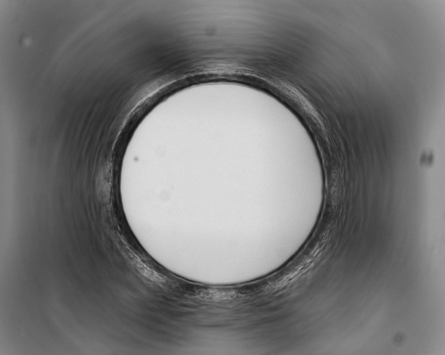 X0000099440831200805301449