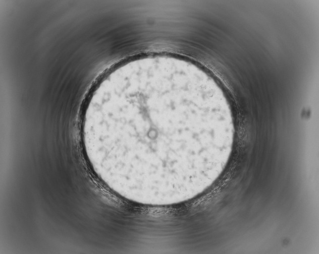 X0000099440832200805301449