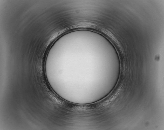 X0000099440834200805301449