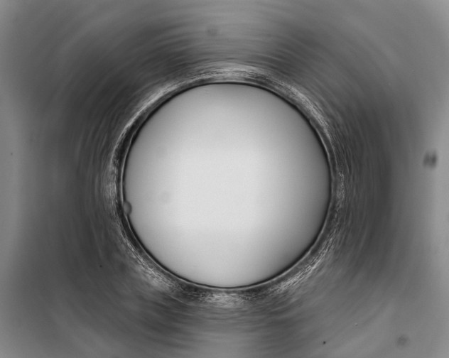 X0000099440835200805301449