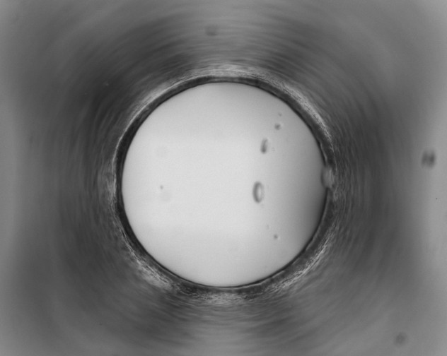 X0000099440837200805301449