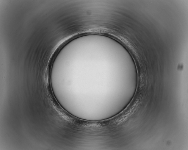X0000099440838200805301449