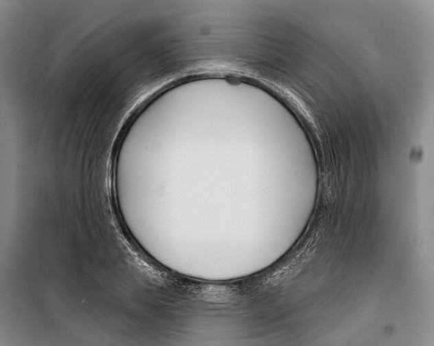 X0000099440839200805301449