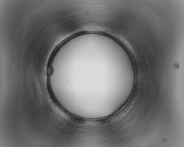 X0000099440840200805301449