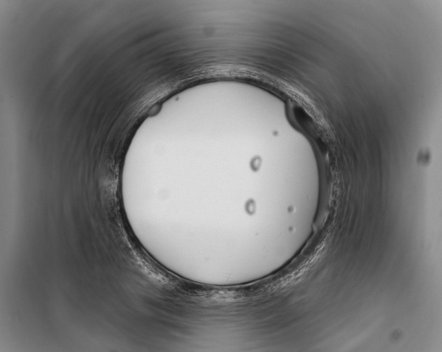 X0000099440841200805301449
