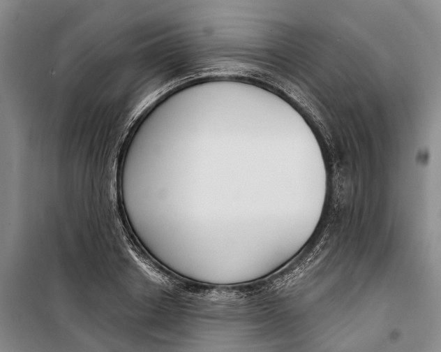 X0000099440842200805301449