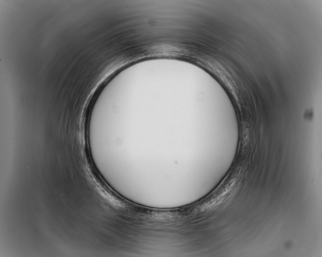 X0000099440843200805301449