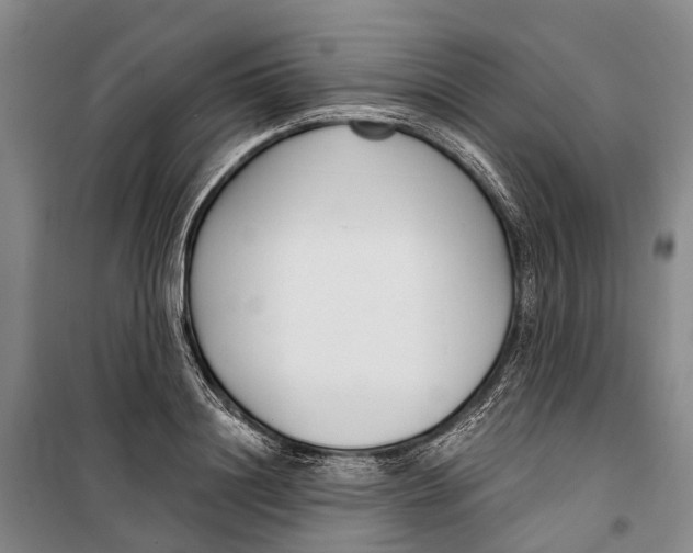 X0000099440844200805301449