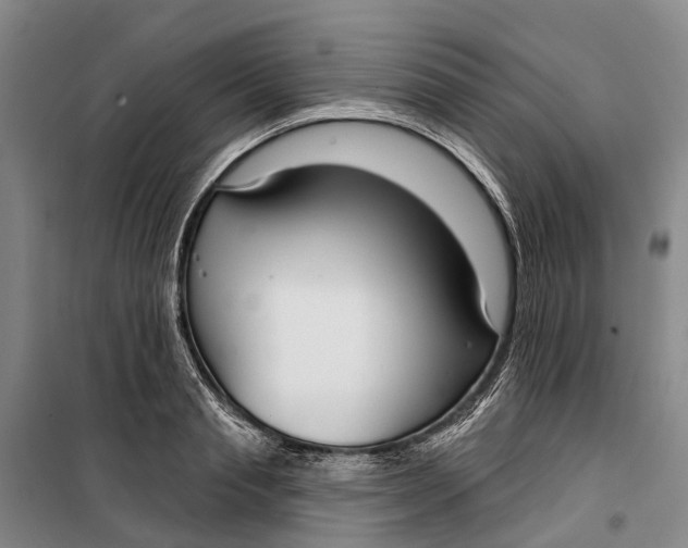 X0000099440845200805301449