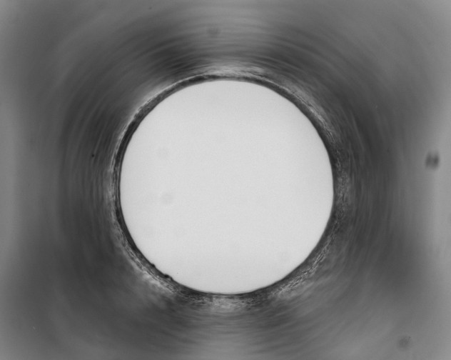 X0000099440848200805301449