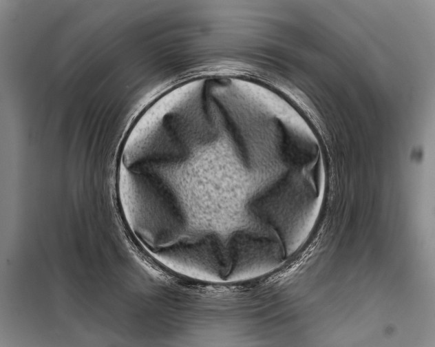 X0000099440850200805301449
